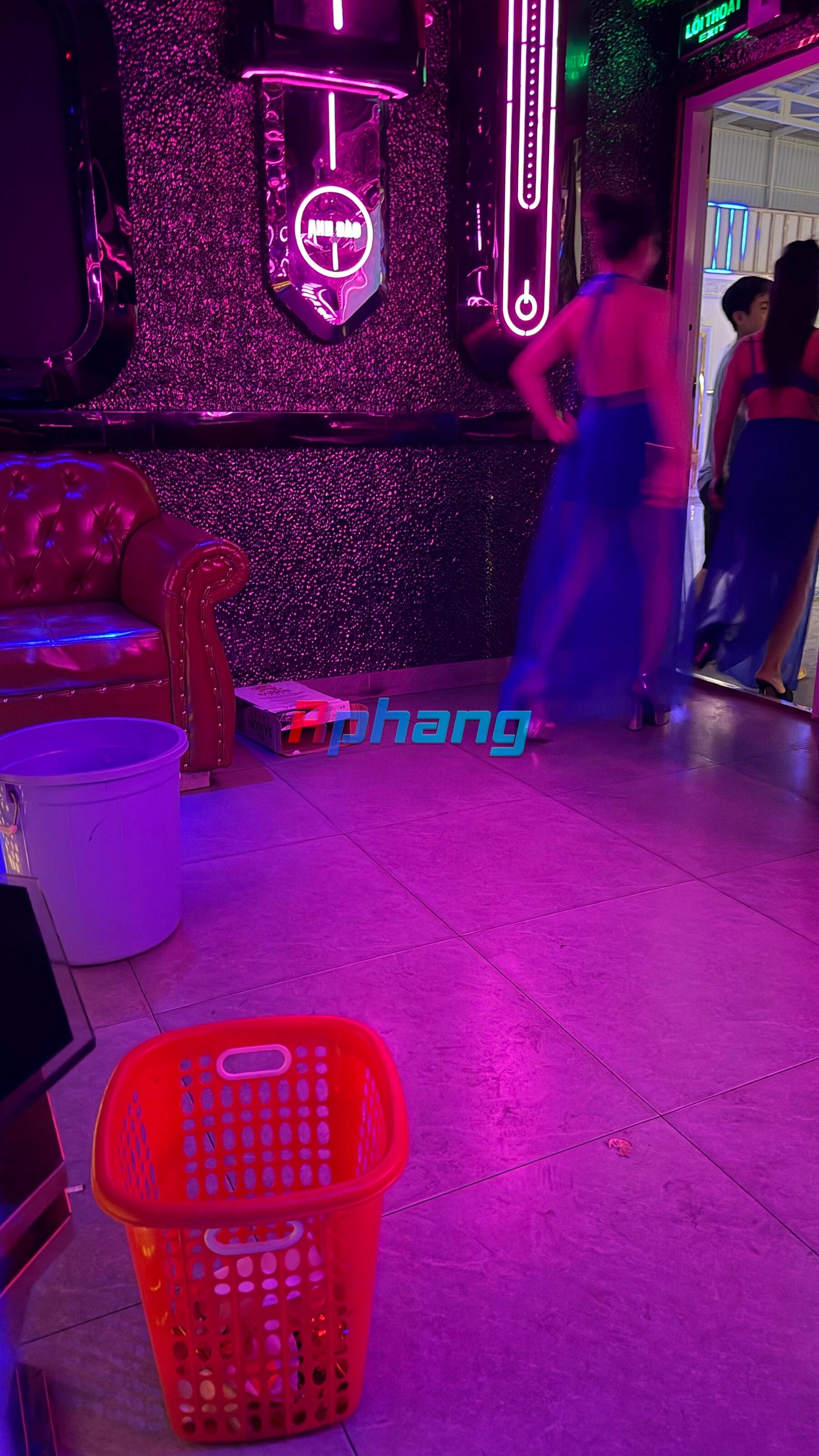 IMG_1217.jpeg