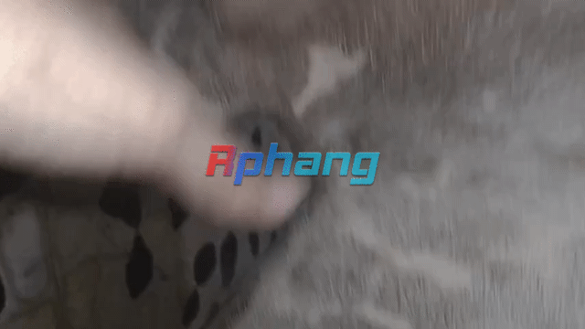 VIDEO_DOWNLOAD_1725599866928_1725600971616_1.gif