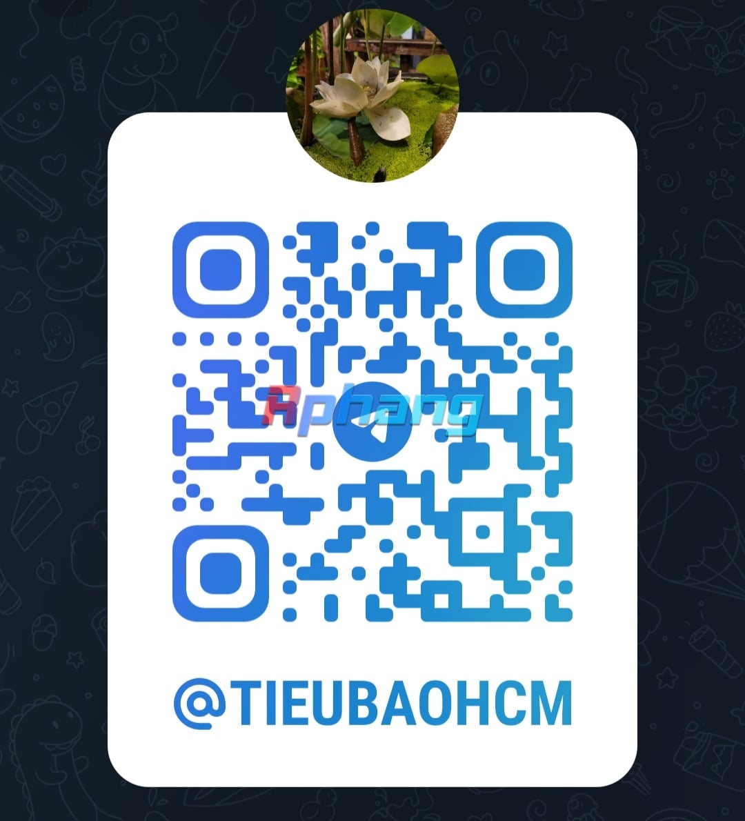 Screenshot_20260508_131704_Telegram.jpg