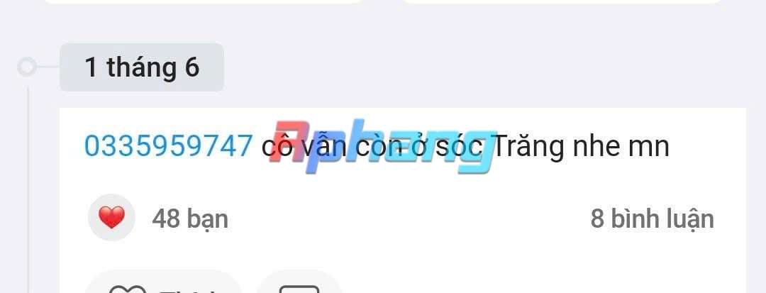 4071.jpg