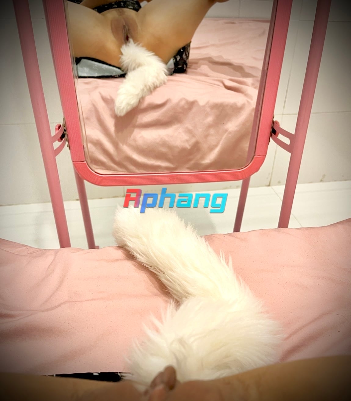 IMG_6431.jpeg