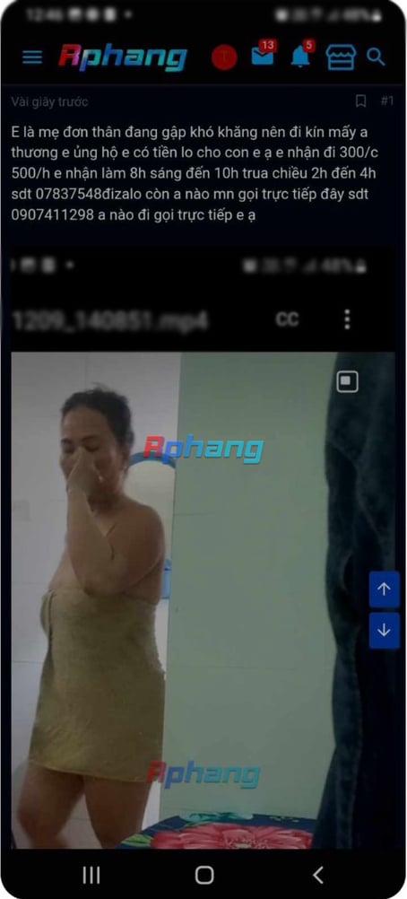 88603a885b6af434ad7b.jpg