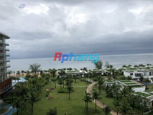 IMG_7211.jpeg