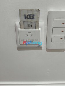 IMG_7037.jpeg