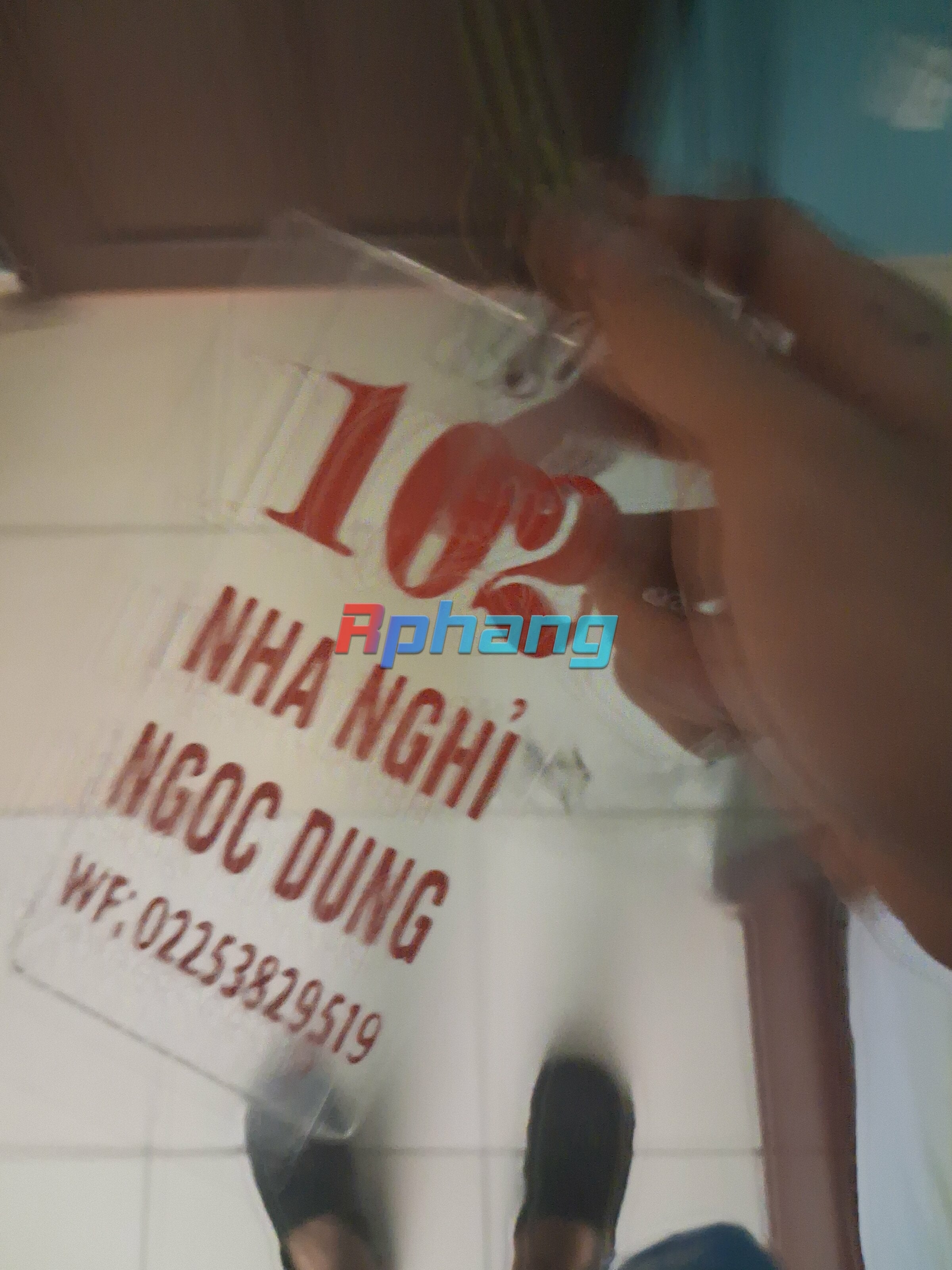 2162.jpg