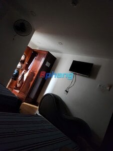 IMG_8437.jpeg