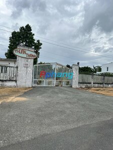 IMG_8231.jpeg