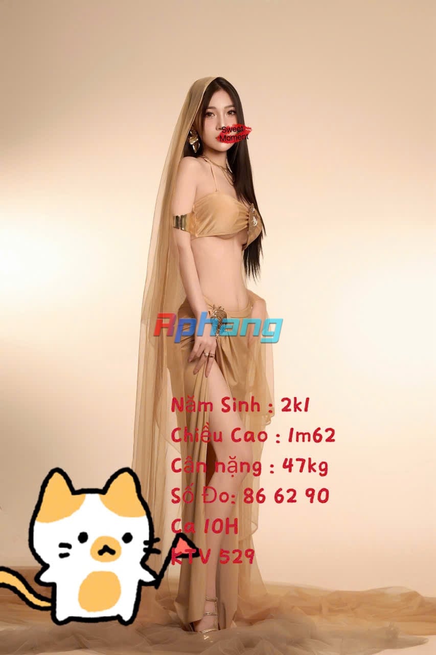 529.1.jpg
