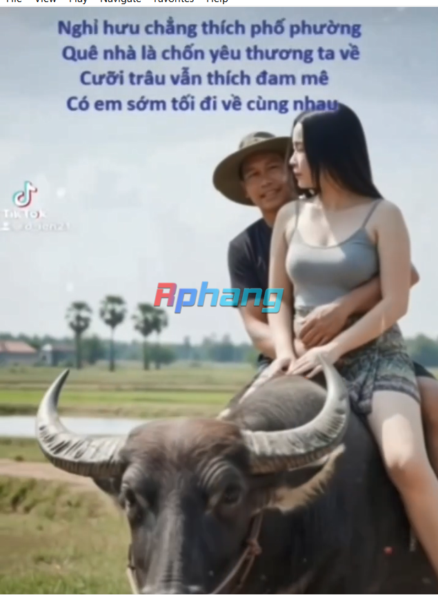 1787217119959.png