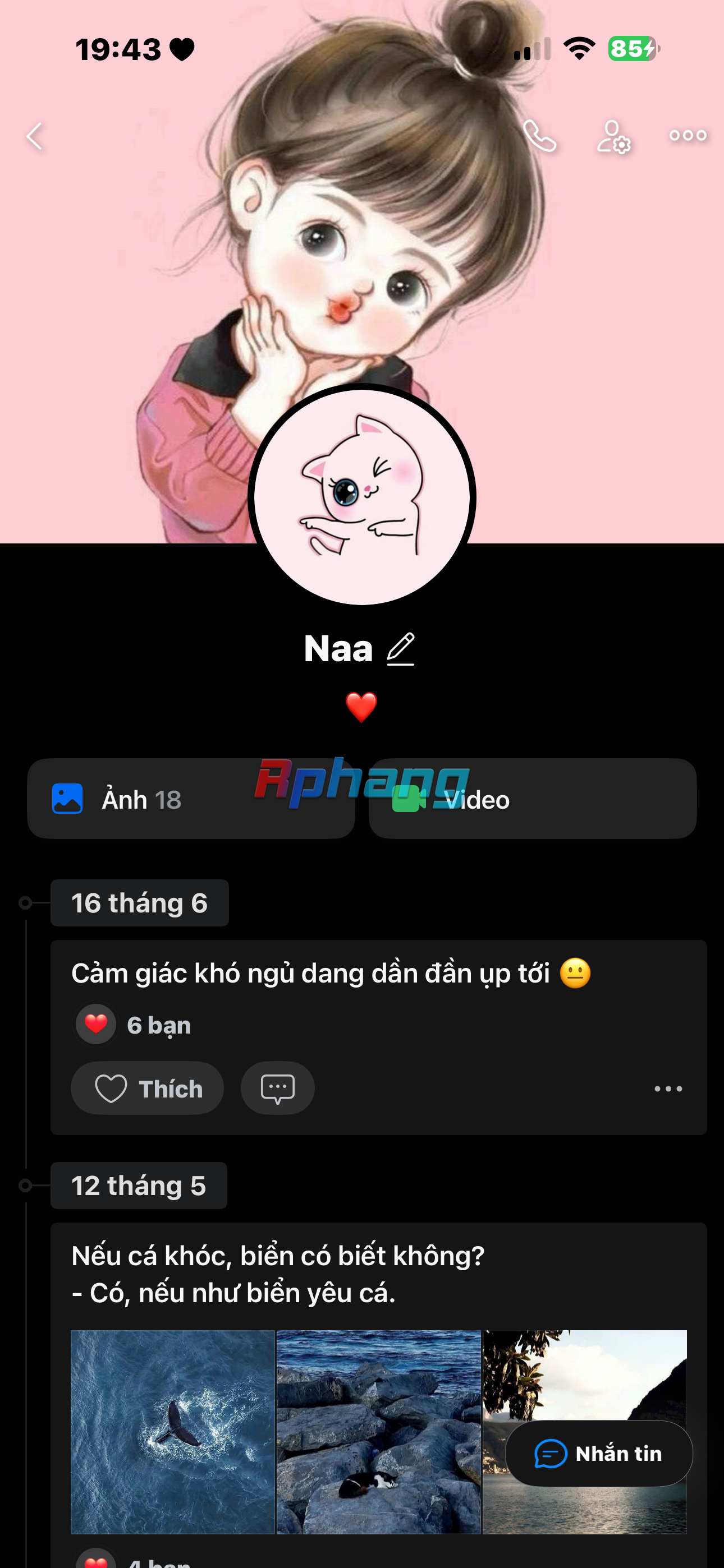 IMG_5229.png