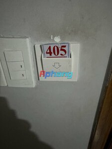 IMG_6903.jpeg