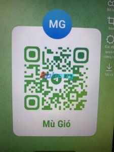 IMG_1431.jpeg