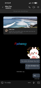 IMG_7978.png