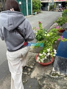 IMG_2373.jpeg