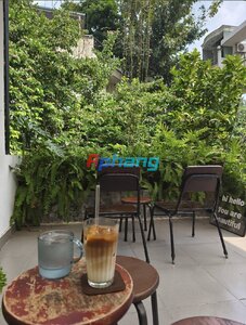 IMG_7797.jpeg