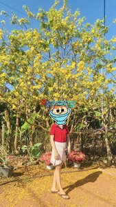 IMG_20260826_194346.jpg