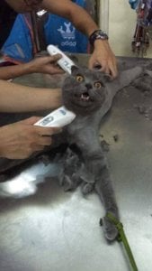 StmA3rHsAyk4YBT4Anbe8fsg30w2ygqiU1JupxjG.jpeg