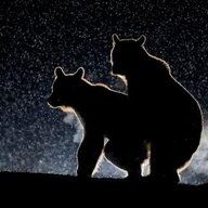 Milwaukeetx