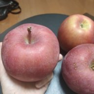 Anhchimbu