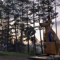 Gấu 16cm