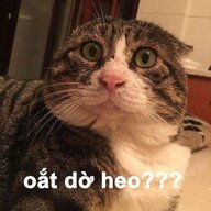 Chuchjmzujnhon