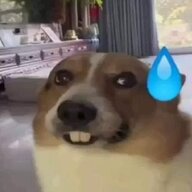 lính ngụyy