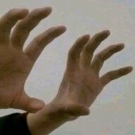timbantinhsg
