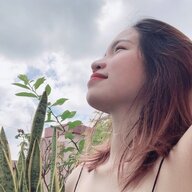 Single