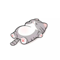 timdikinLapvo