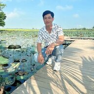 TanHaiPhuong