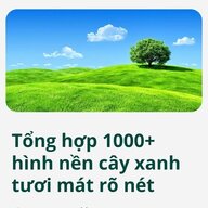 HoangVThuy