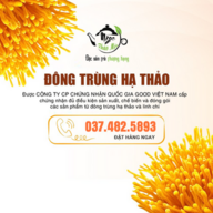 ngocthaomoc