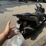 gluck252