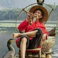 Shanghai_Rain