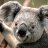 checkerL2