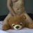 Teddy