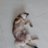 Haili3333