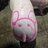 Bincute1001