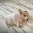 solbadguy
